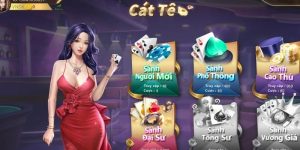 V8 Game Bài - Cá Cược Siêu Ưu Đãi, Lợi Nhuận Lâu Dài