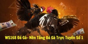 WS168 Đá Gà- Nền Tảng Đá Gà Trực Tuyến Số 1 Việt Nam